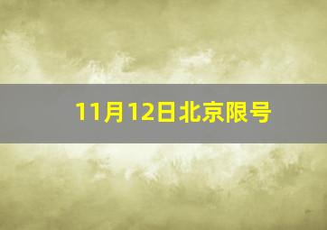 11月12日北京限号