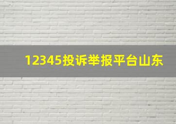 12345投诉举报平台山东