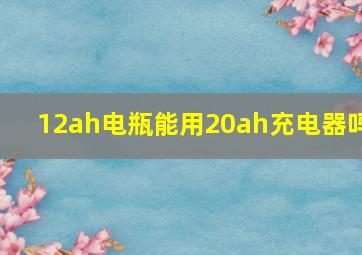 12ah电瓶能用20ah充电器吗