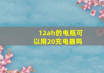 12ah的电瓶可以用20充电器吗