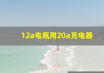 12a电瓶用20a充电器