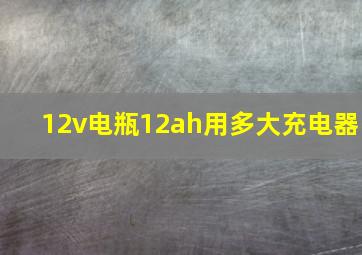 12v电瓶12ah用多大充电器