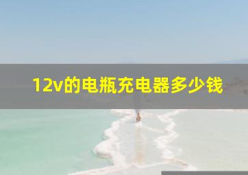 12v的电瓶充电器多少钱