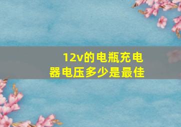 12v的电瓶充电器电压多少是最佳