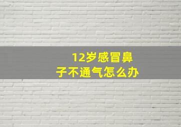 12岁感冒鼻子不通气怎么办