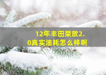 12年丰田荣放2.0真实油耗怎么样啊