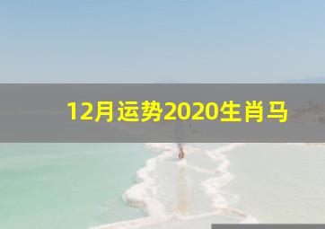 12月运势2020生肖马