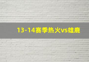 13-14赛季热火vs雄鹿