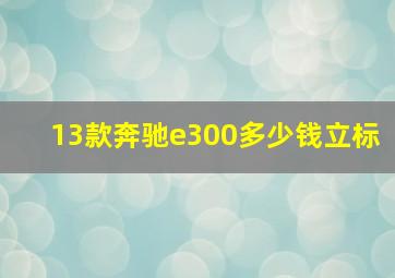 13款奔驰e300多少钱立标