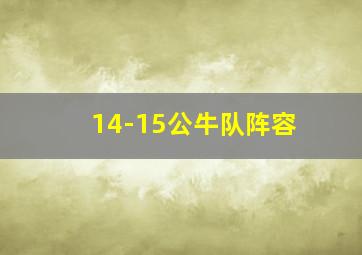 14-15公牛队阵容