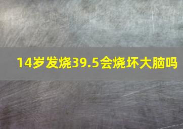 14岁发烧39.5会烧坏大脑吗