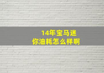 14年宝马迷你油耗怎么样啊