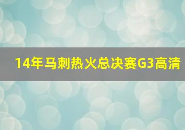 14年马刺热火总决赛G3高清