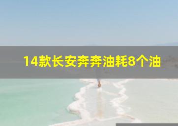 14款长安奔奔油耗8个油