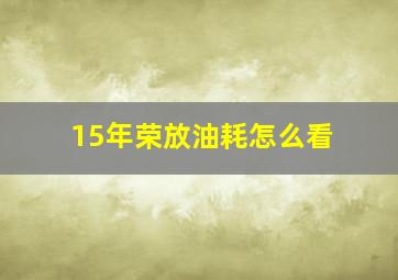 15年荣放油耗怎么看