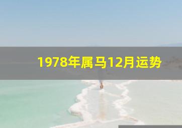 1978年属马12月运势