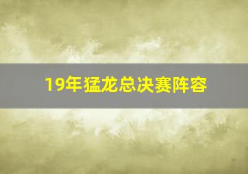 19年猛龙总决赛阵容