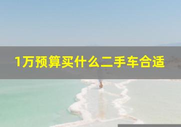 1万预算买什么二手车合适