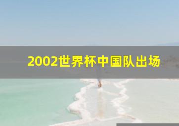 2002世界杯中国队出场