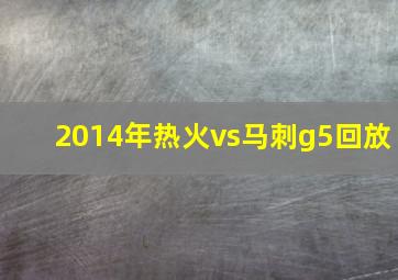 2014年热火vs马刺g5回放