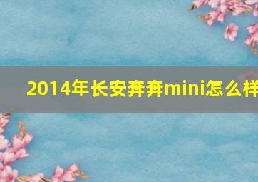 2014年长安奔奔mini怎么样