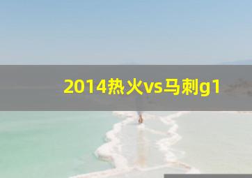 2014热火vs马刺g1