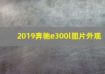 2019奔驰e300l图片外观