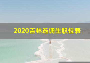 2020吉林选调生职位表