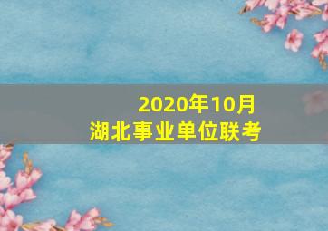 2020年10月湖北事业单位联考