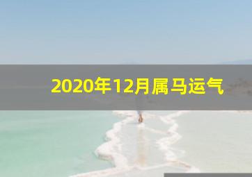 2020年12月属马运气