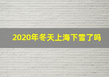 2020年冬天上海下雪了吗