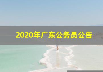 2020年广东公务员公告