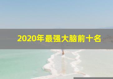 2020年最强大脑前十名