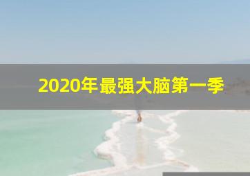 2020年最强大脑第一季