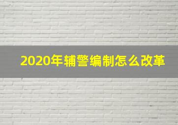 2020年辅警编制怎么改革