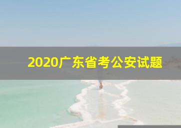 2020广东省考公安试题