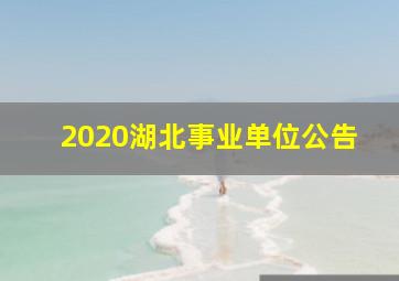 2020湖北事业单位公告