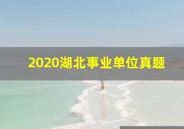 2020湖北事业单位真题