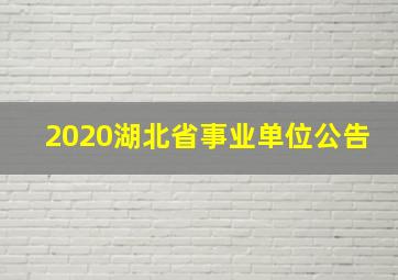 2020湖北省事业单位公告