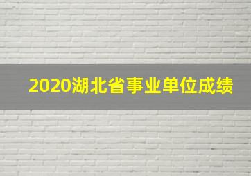 2020湖北省事业单位成绩