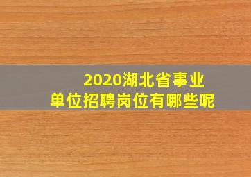 2020湖北省事业单位招聘岗位有哪些呢