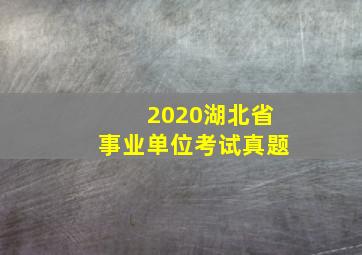 2020湖北省事业单位考试真题