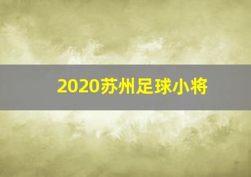 2020苏州足球小将