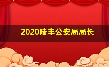 2020陆丰公安局局长