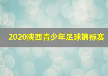 2020陕西青少年足球锦标赛