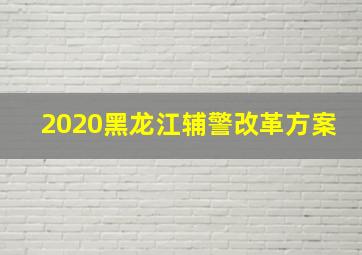 2020黑龙江辅警改革方案