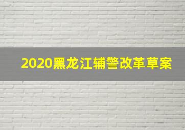 2020黑龙江辅警改革草案