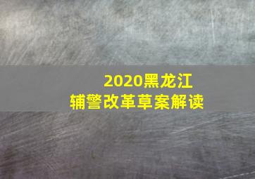 2020黑龙江辅警改革草案解读