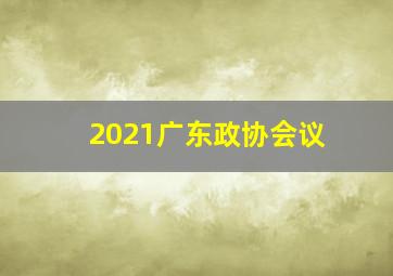 2021广东政协会议