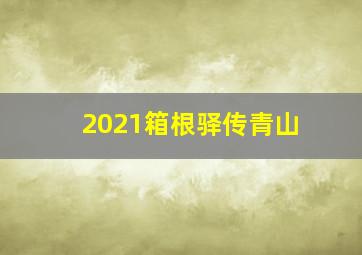 2021箱根驿传青山